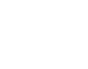 Peace Industry